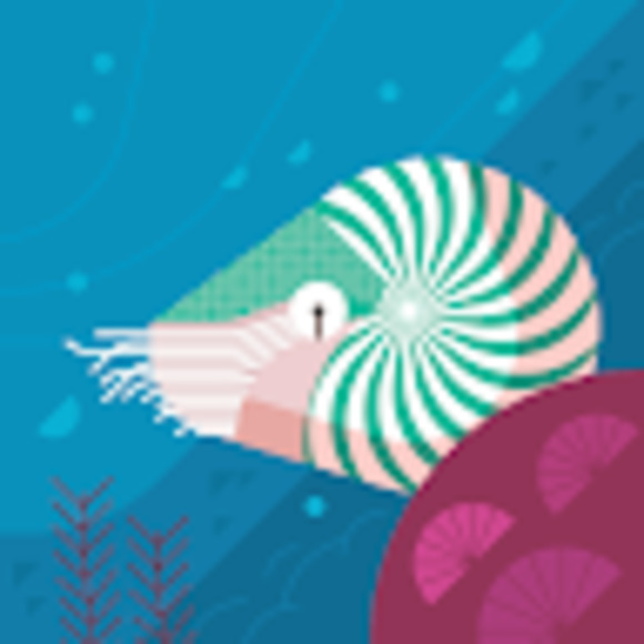 Meet your Posher, Erica - Picture 1 of 1